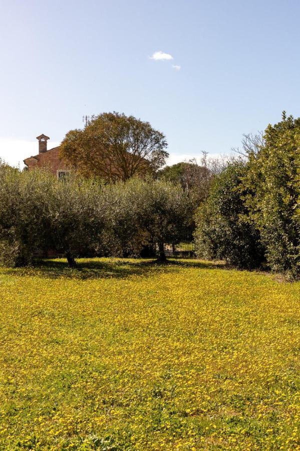 Villa Martina 法诺 外观 照片